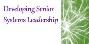 Developing Senior Systems Leadership