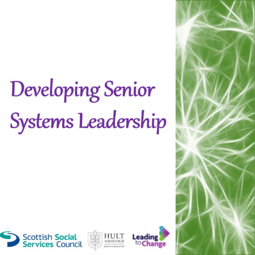 Developing Senior Systems Leadership